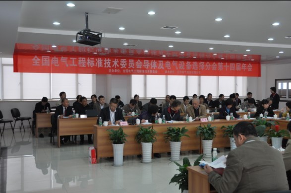 全國電氣工程標準技術(shù)委員會導體及電氣設(shè)備選擇分會2010年會在川開成功舉行